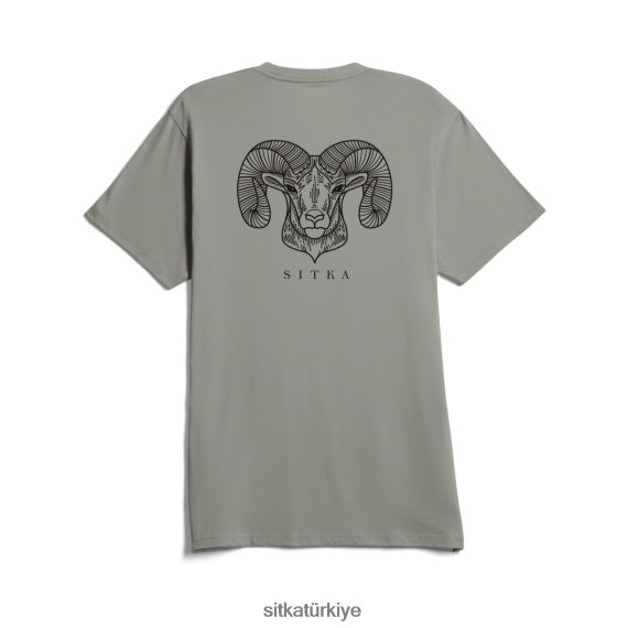 üstler SITKA Gear koç tişörtü alan grisi erkekler LTX80H151