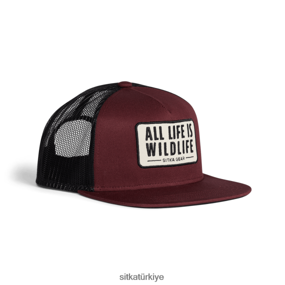 şapkalar SITKA Gear tüm hayat merhaba profesyonel kamyoncu koyu Kırmızı üniseks LTX80H304
